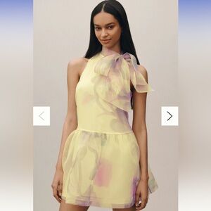 Anthropologie BHLDN Sophia High-Neck Bow-Tie Organza Mini Dress Small Color PINK